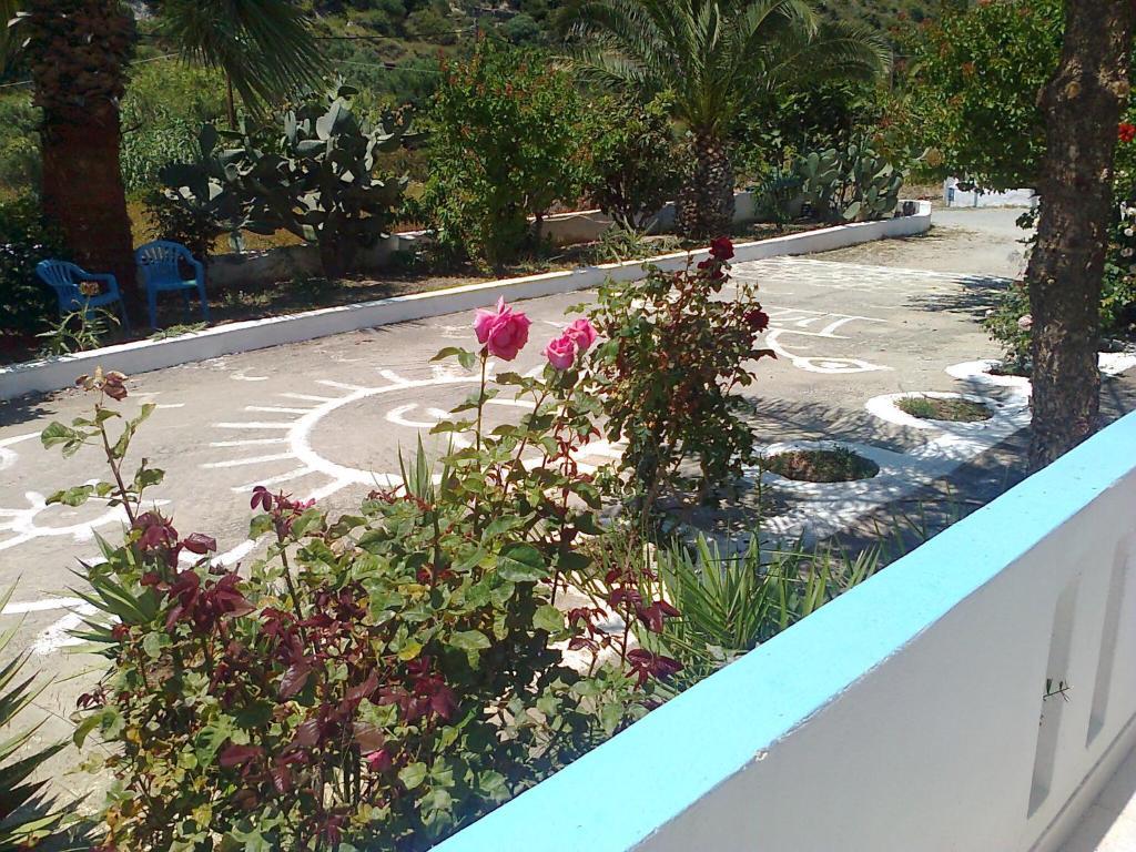 Dionysia Apartments Kefalos  Exterior photo